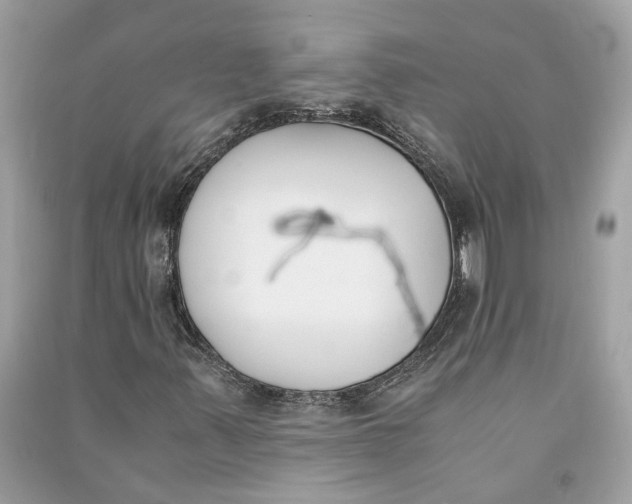 X0000090741347200708101653