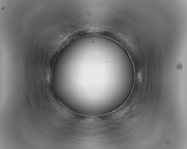 X0000090741348200708101653