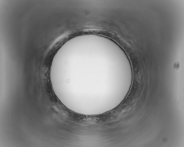 X0000090741351200708101653