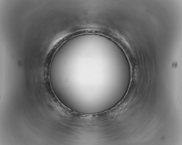 X0000090741352200708101653