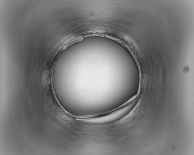 X0000090741353200708101653