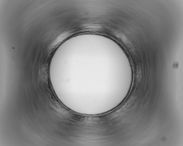 X0000090741354200708101653