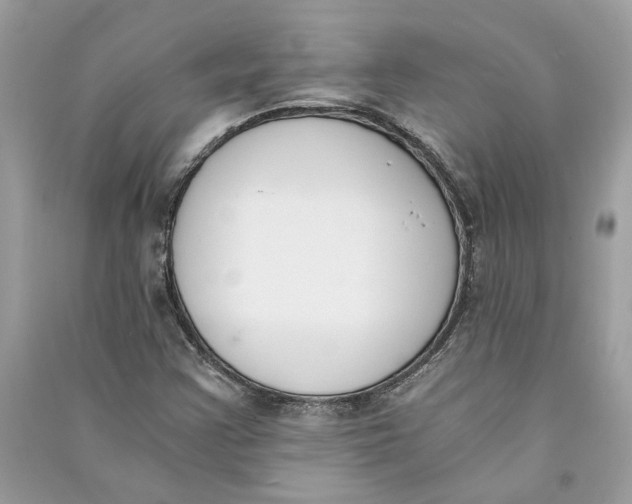 X0000090741355200708101653