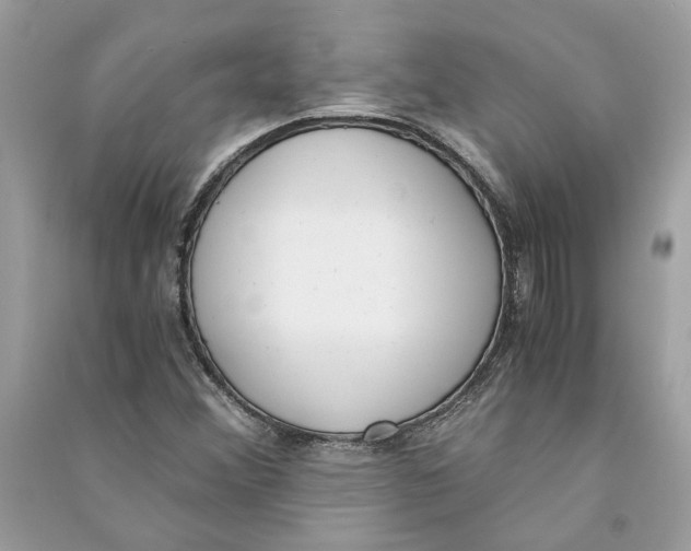 X0000090741356200708101653