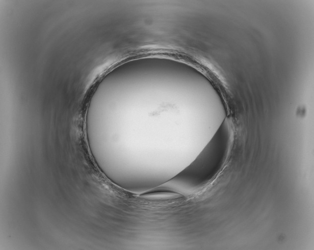 X0000090741357200708101653