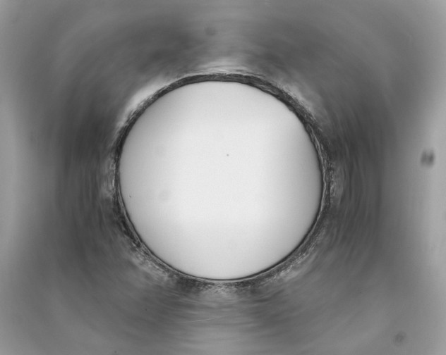 X0000090741358200708101653