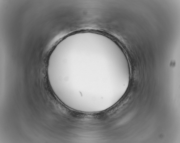 X0000090741359200708101653