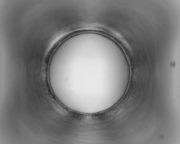 X0000090741360200708101653