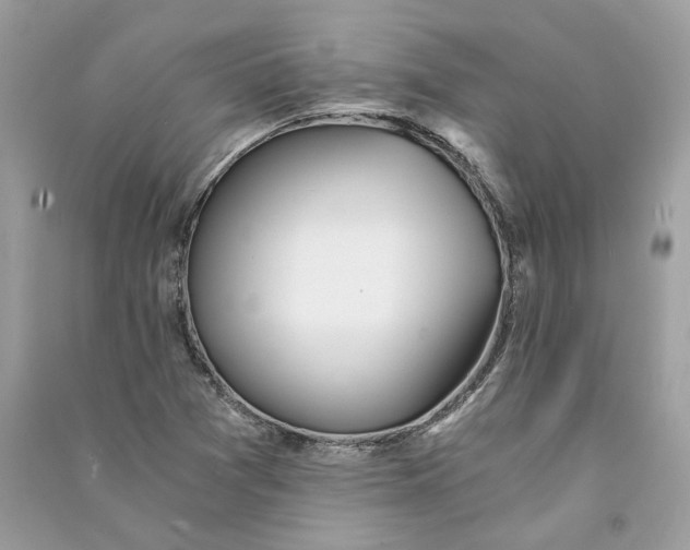 X0000090741361200708101653