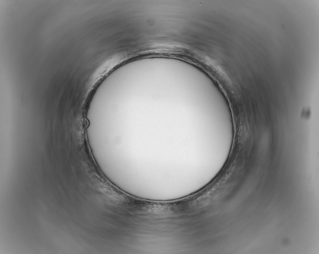 X0000090741362200708101653