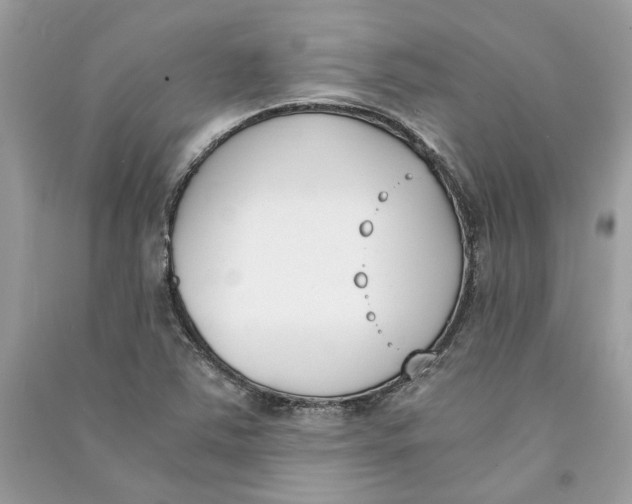 X0000090741363200708101653