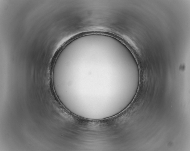 X0000090741364200708101653