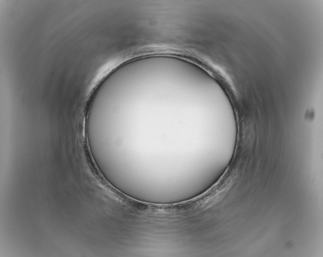 X0000090741365200708101653