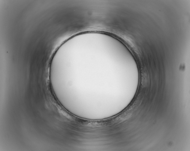 X0000090741366200708101653