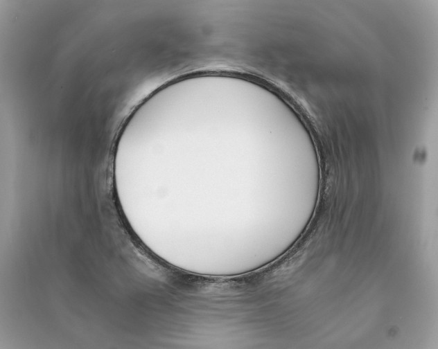 X0000090741367200708101653