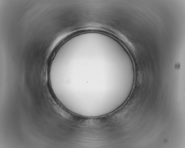 X0000090741368200708101653