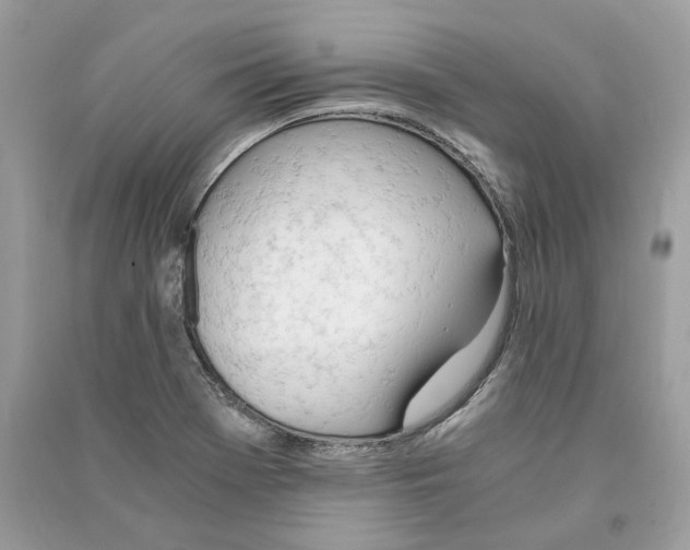 X0000090741369200708101653