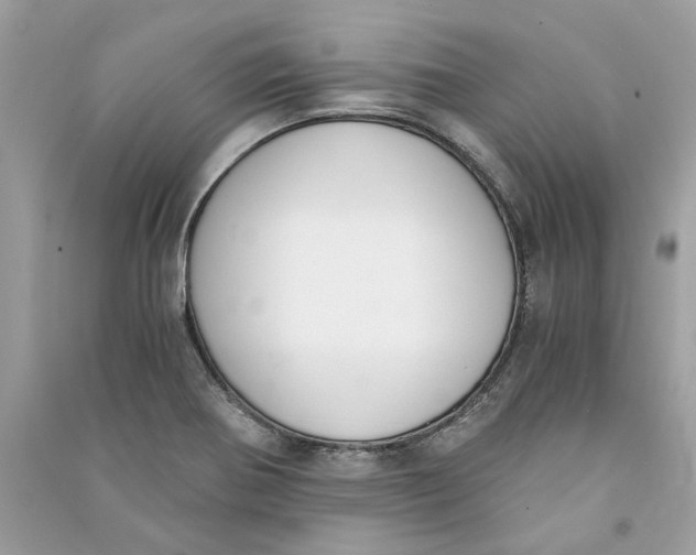 X0000090741370200708101653