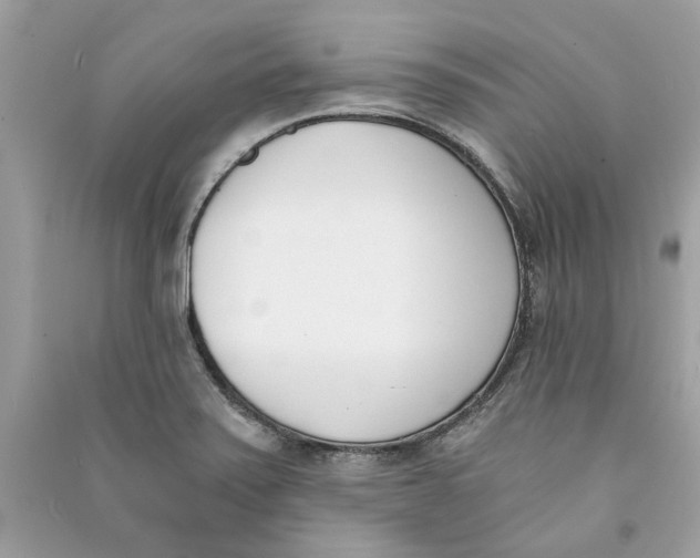 X0000090741371200708101653