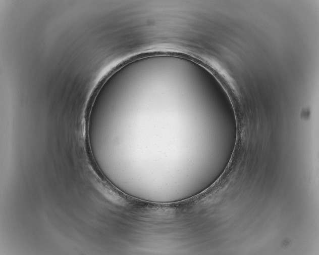 X0000090741372200708101653