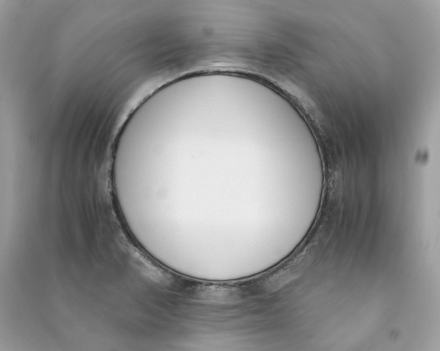 X0000090741374200708101653