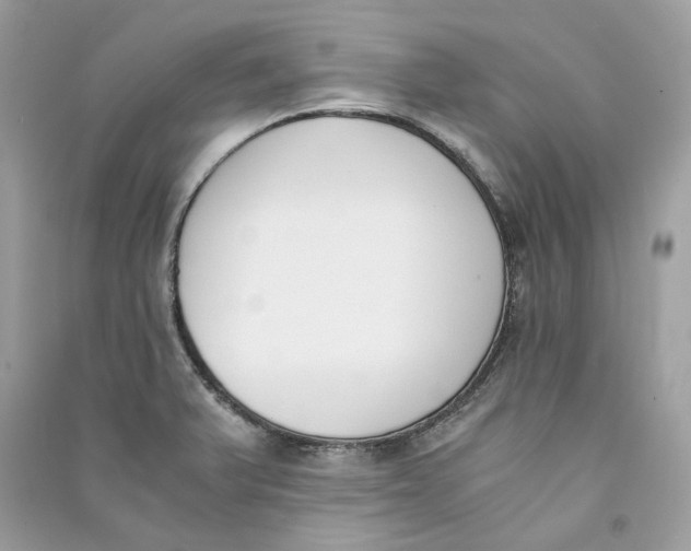 X0000090741375200708101653