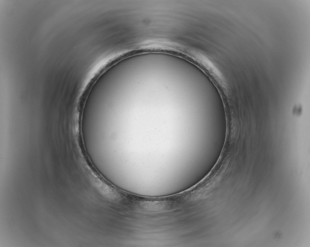 X0000090741376200708101653