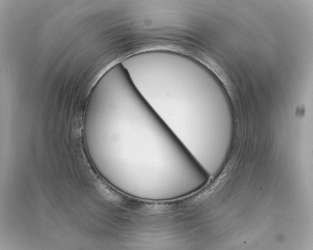 X0000090741377200708101653