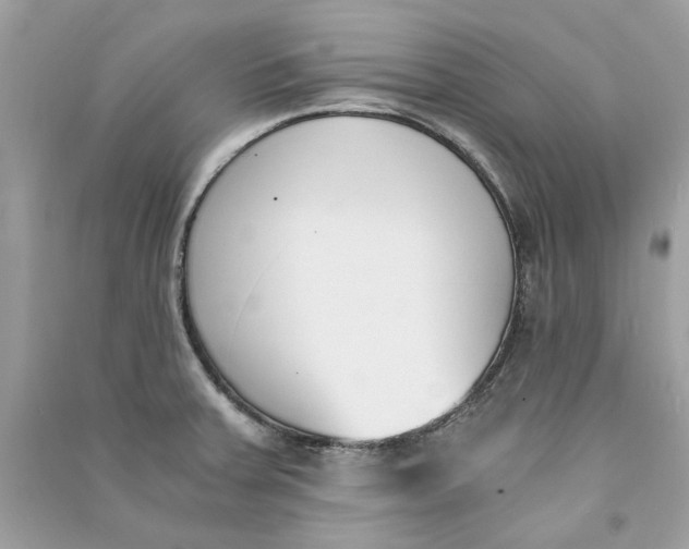 X0000090741379200708101653