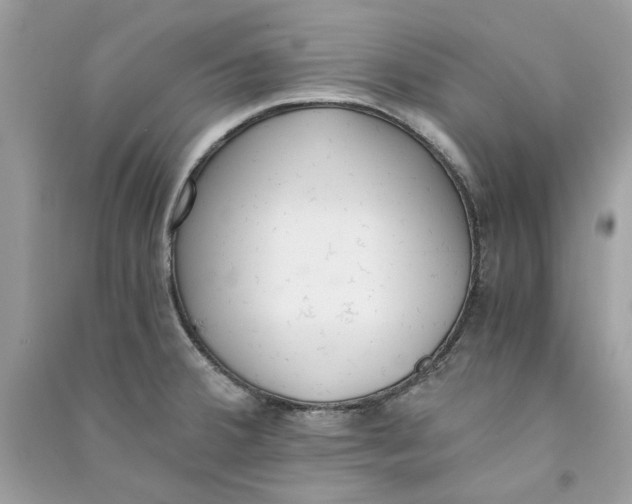 X0000090741380200708101653