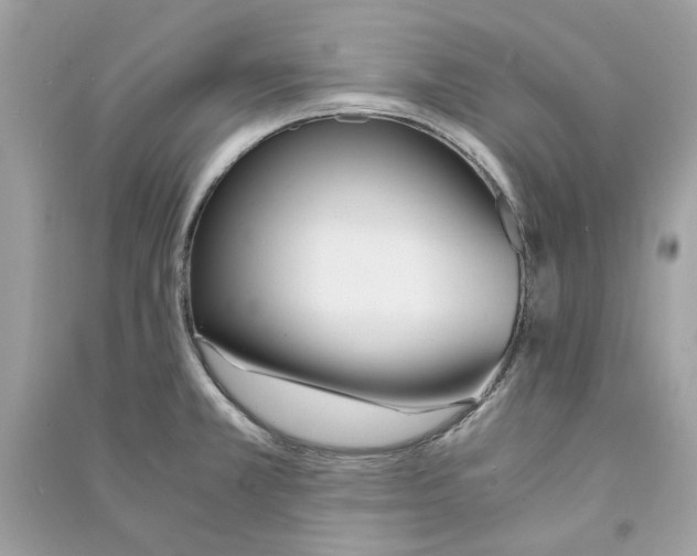 X0000090741381200708101653