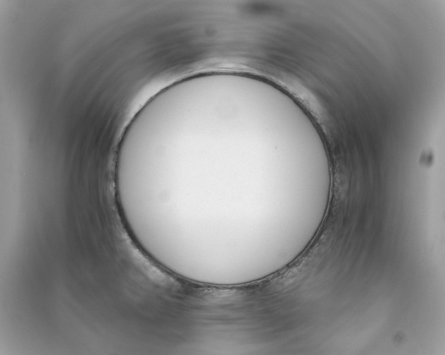 X0000090741382200708101653