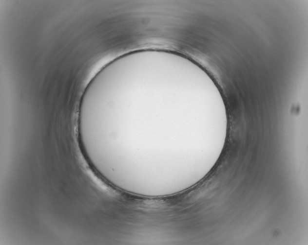 X0000090741383200708101653