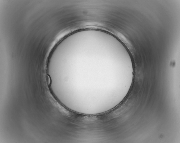 X0000090741384200708101653