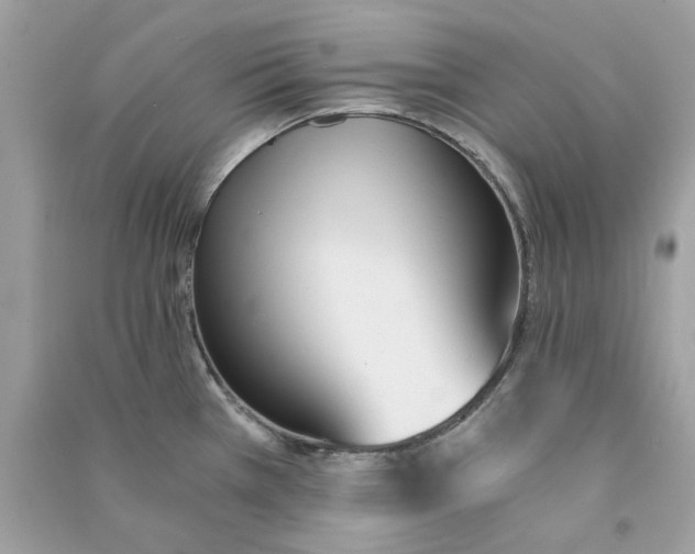 X0000090741385200708101653