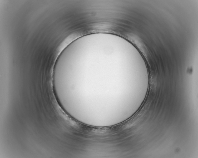 X0000090741386200708101653