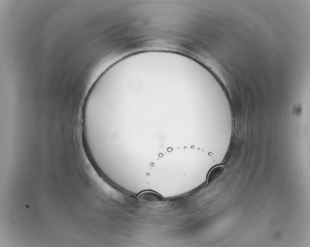 X0000090741387200708101653