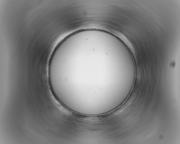 X0000090741388200708101653