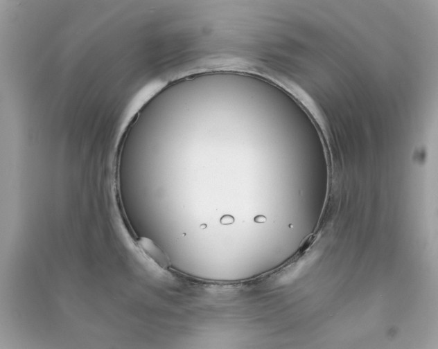 X0000090741389200708101653