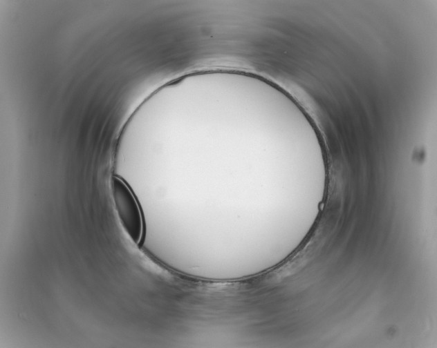 X0000090741390200708101653