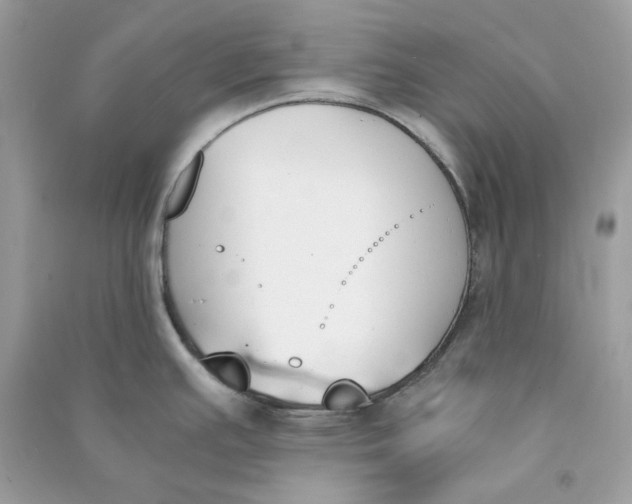 X0000090741391200708101653