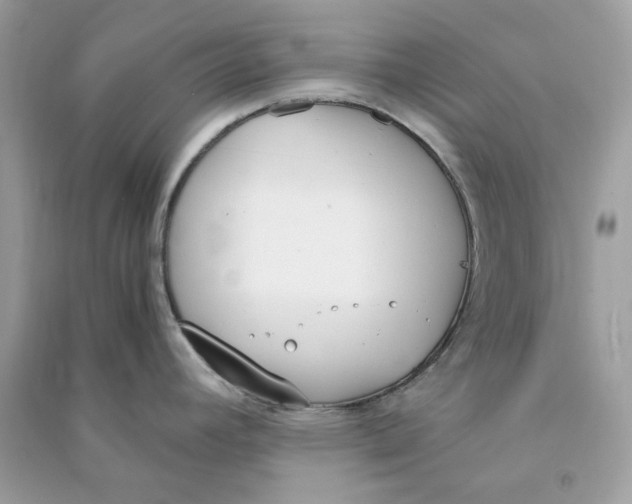 X0000090741392200708101653