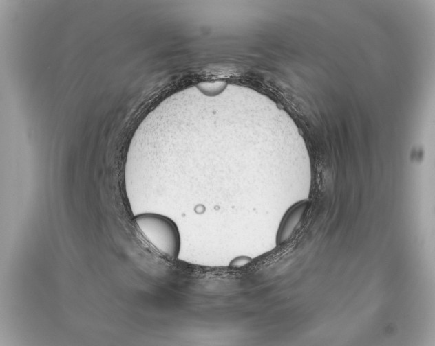 X0000090741393200708101652