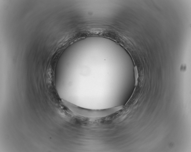 X0000090741394200708101652