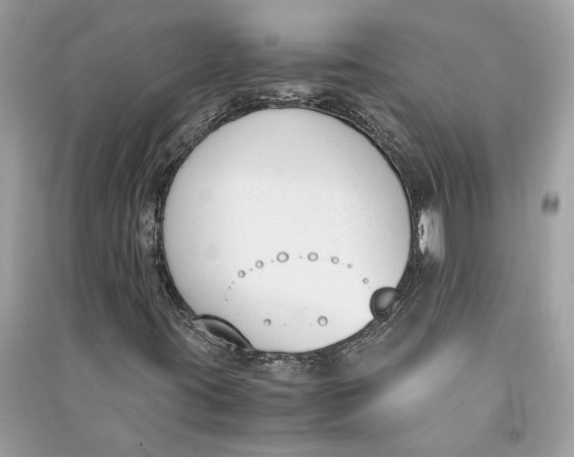 X0000090741395200708101652