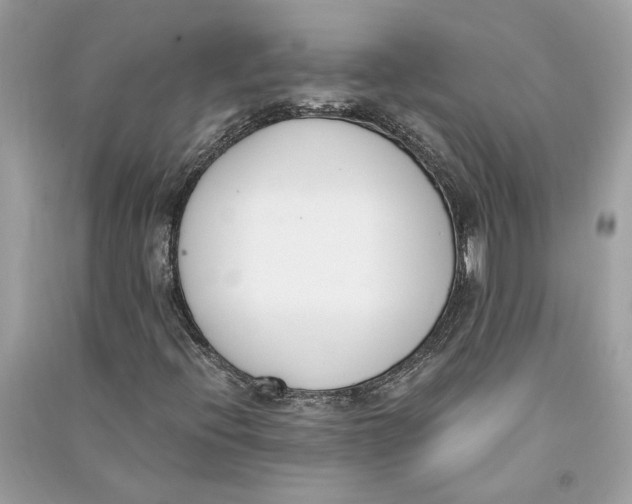 X0000090741396200708101652