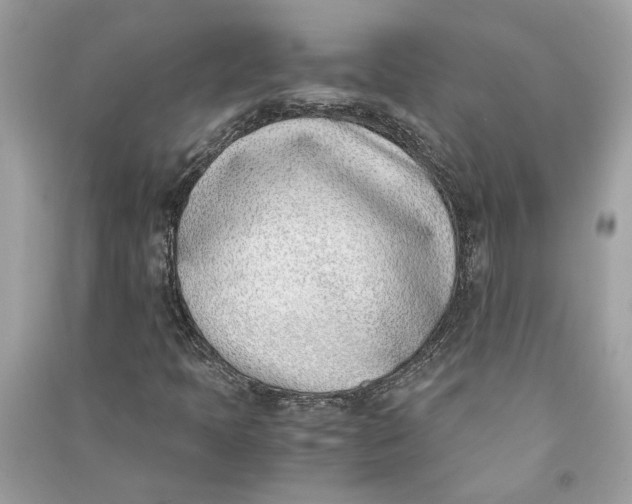 X0000090741397200708101652