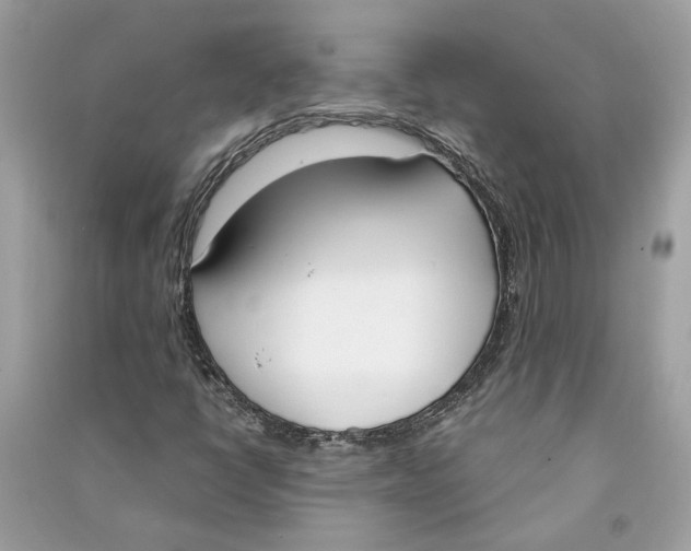 X0000090741398200708101652