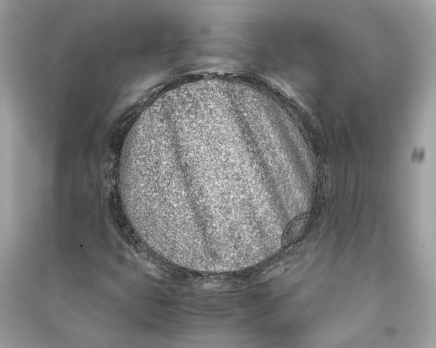 X0000090741399200708101652