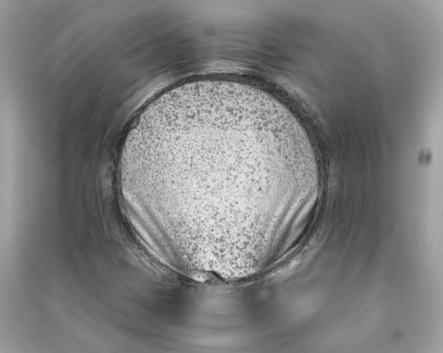 X0000090741401200708101652